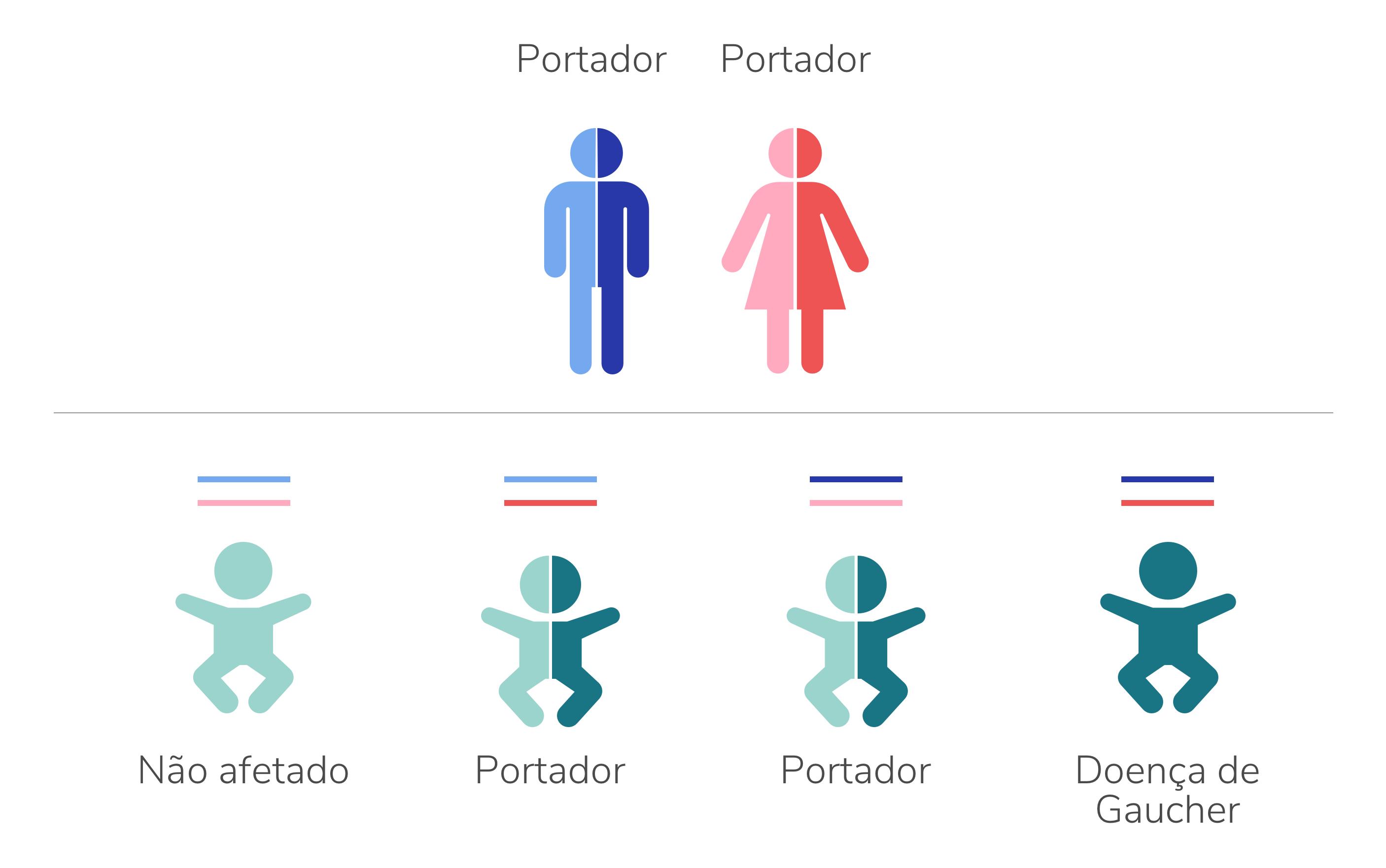 Ambos os pais são portadores da doença de Gaucher