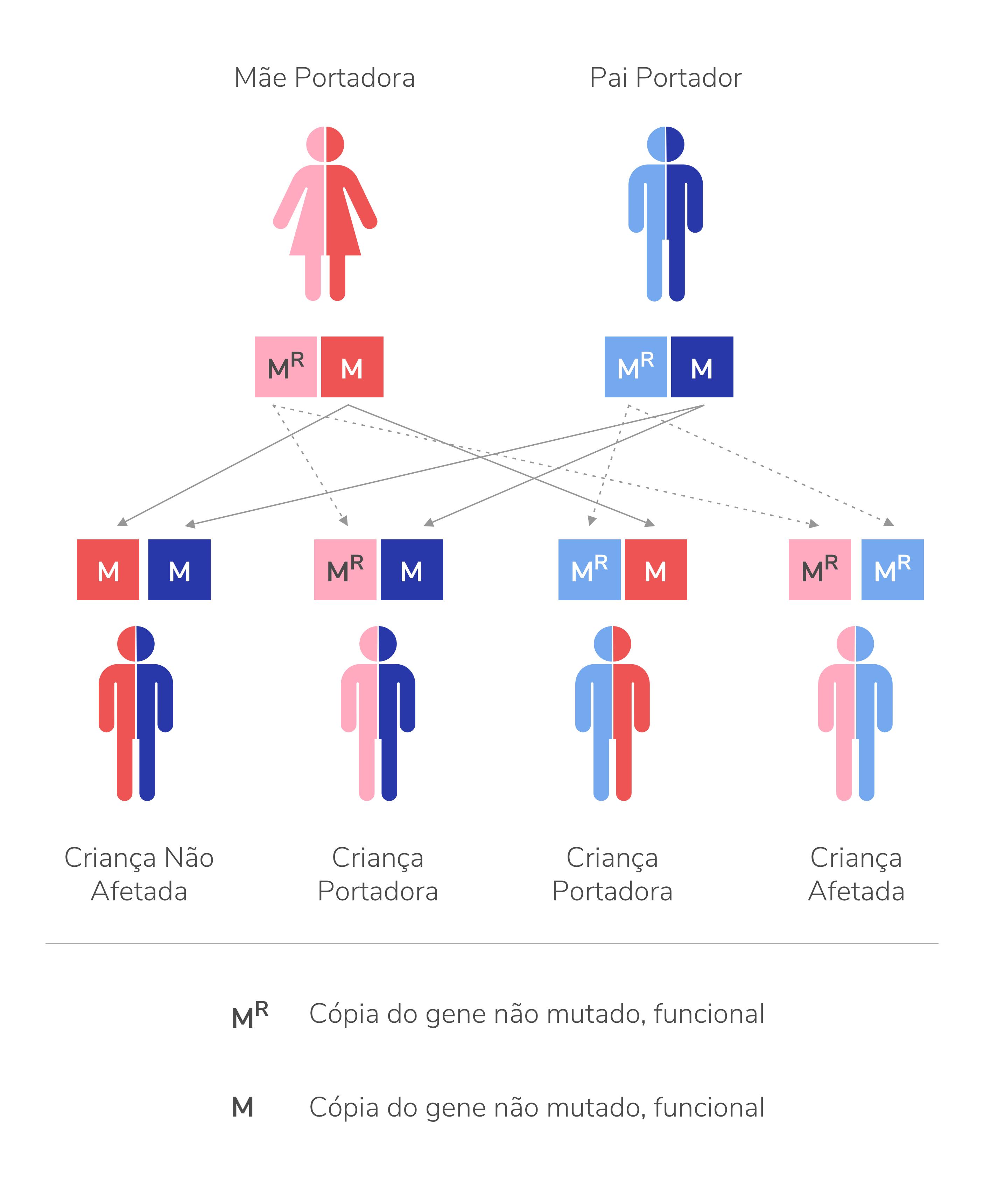 Padrão de transmissão de MPS I