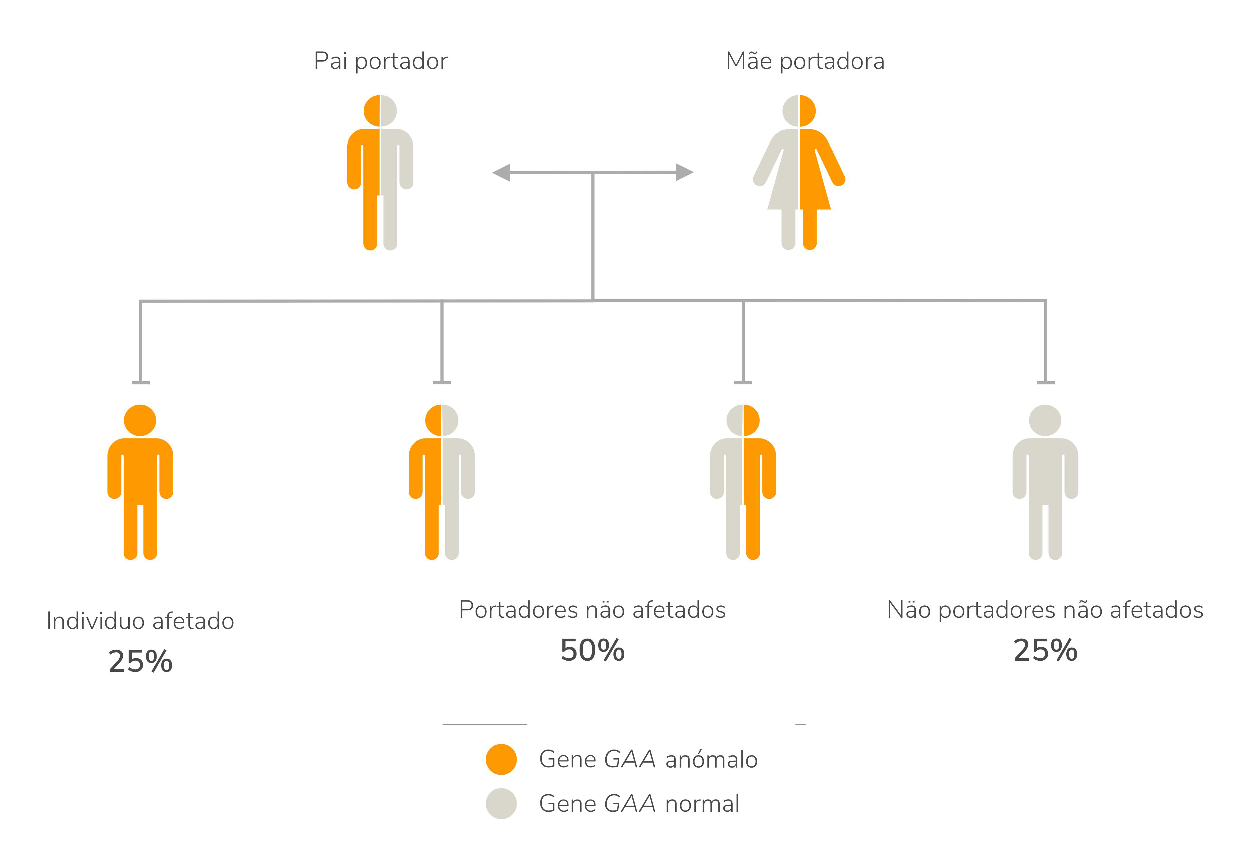 Possibilidades de herança quando “portadores de Pompe” têm um filho juntos